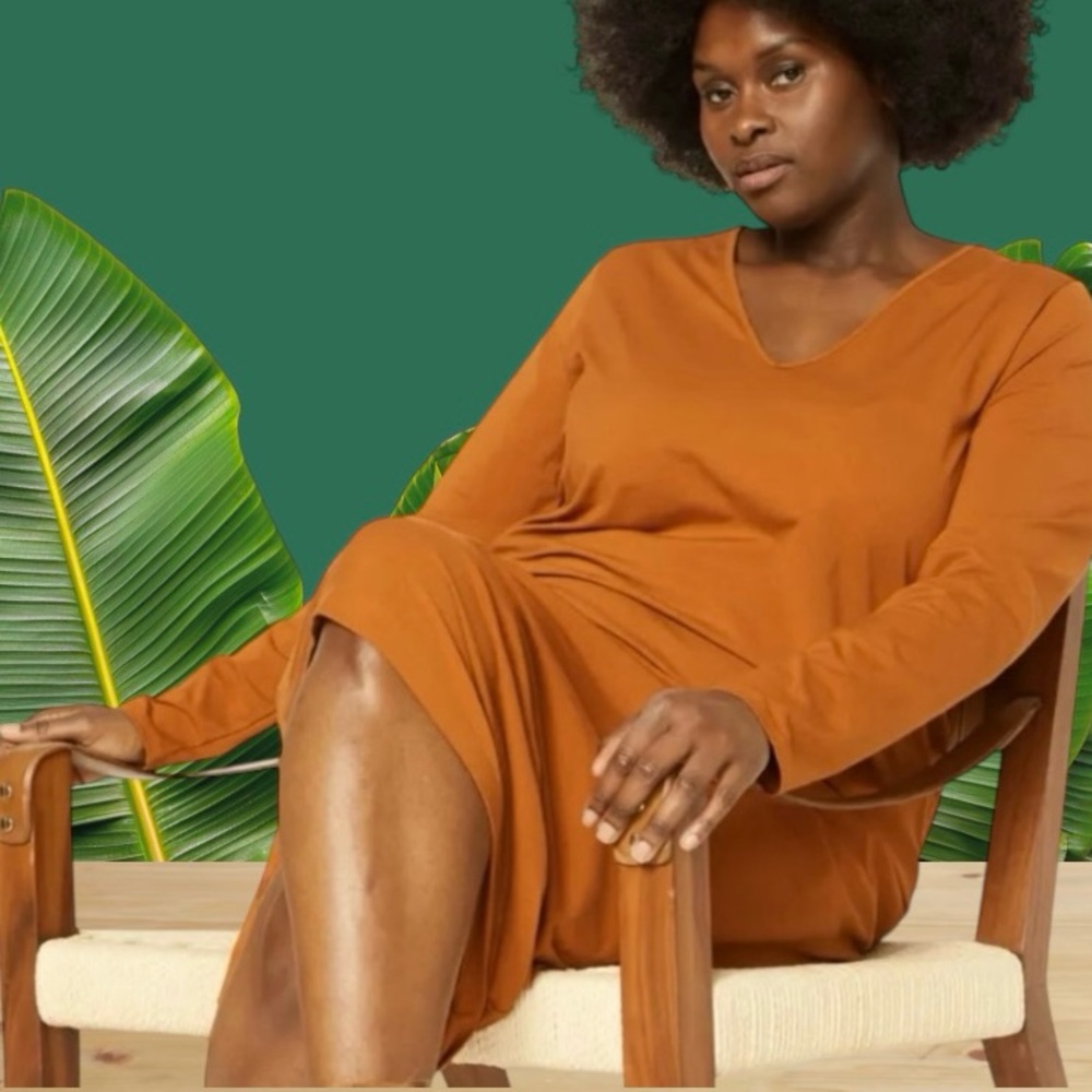 UNIVERSAL STANDARD ICONIC GENEVA V-NECKLINE DRESS ( SZ 10-12 ) CARAMEL CAFE - Picture 2 of 11